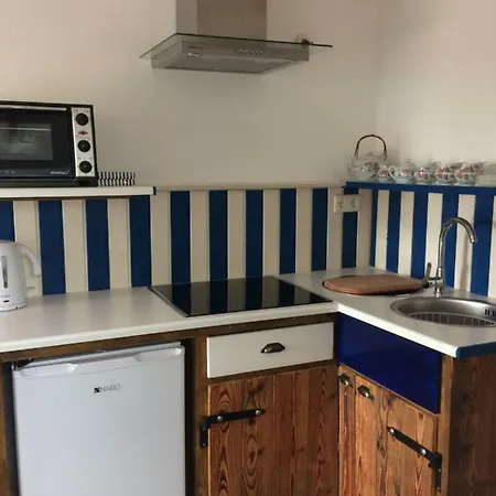 公寓 Apartement Ursi 菲尔斯滕费尔德